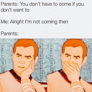 A relatable meme about parents