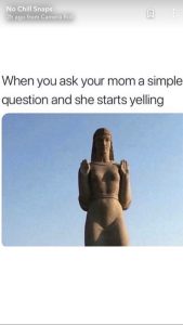 A meme about moms