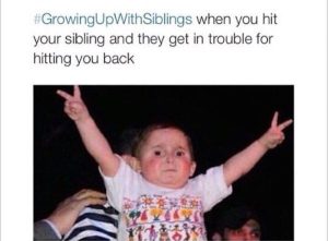 A relatable meme about siblings